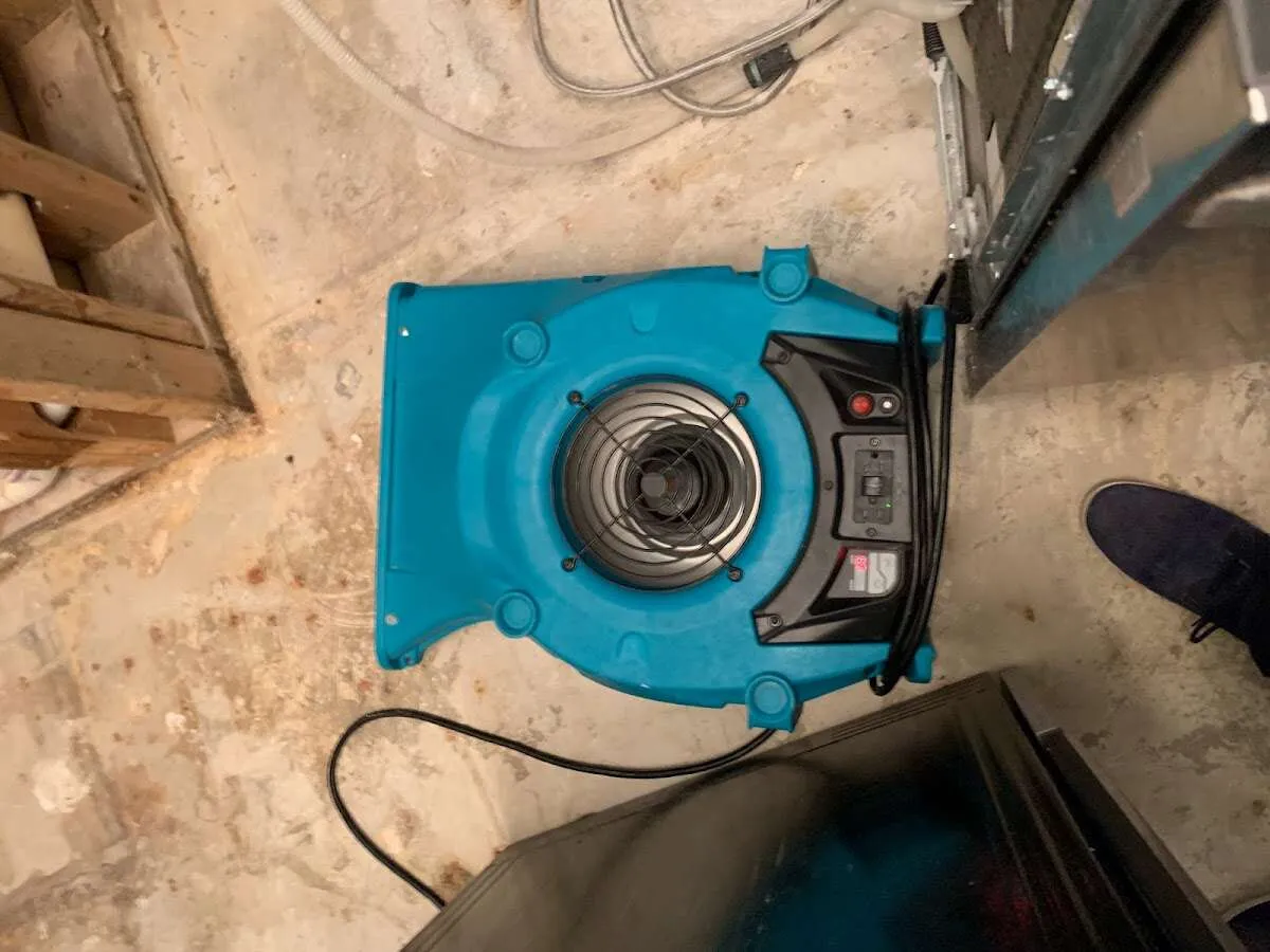 Air mover drying equipment for Mold Remediation & Removal in Oakwood